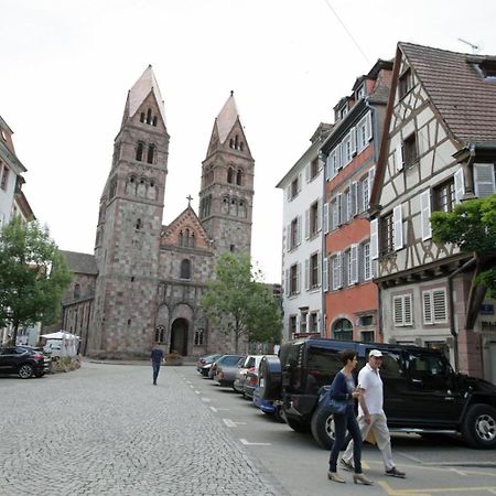 Gite Le Colombier Selestat - 30Min Europapark Eksteriør billede